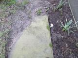 image of grave number 384773